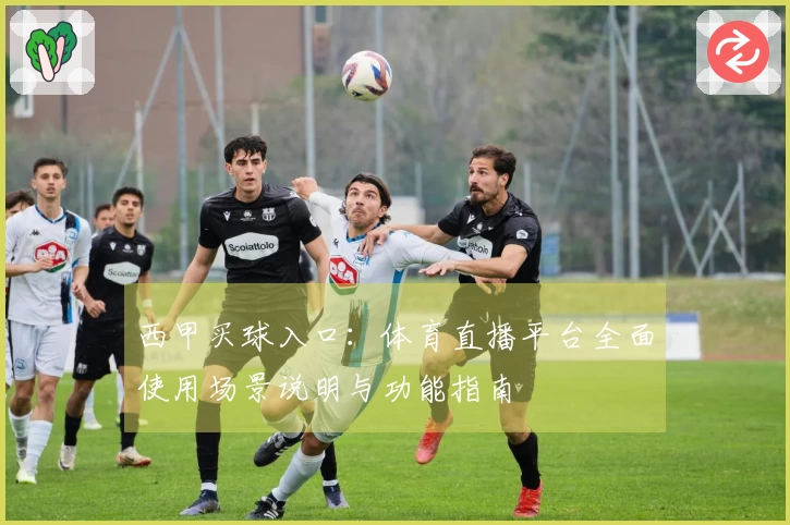 西甲买球入口：体育直播平台全面使用场景说明与功能指南