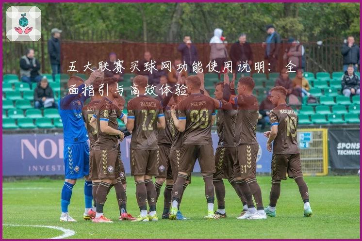 五大联赛买球网功能使用说明：全面指引与高效体验